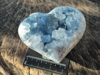 Polished and Natural Blue Celestite Hearts x 2 From Sakoany, Madagascar
