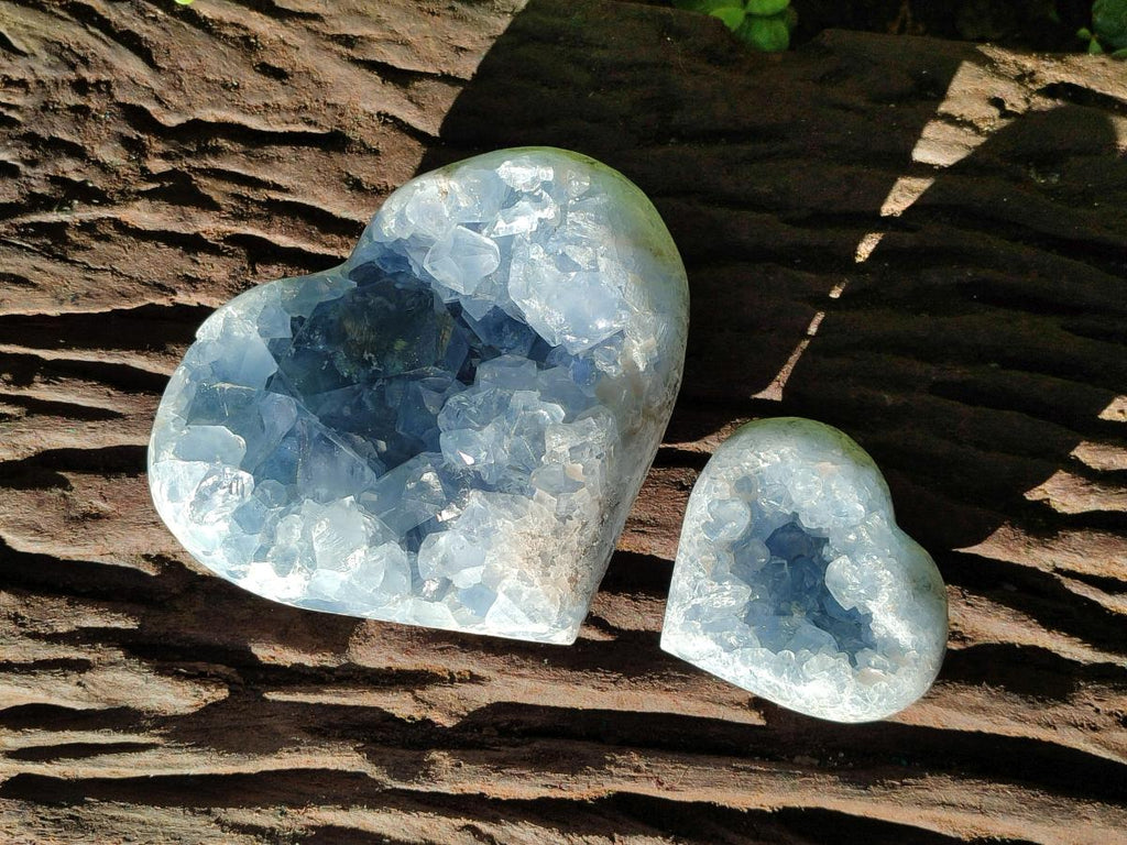 Polished and Natural Blue Celestite Hearts x 2 From Sakoany, Madagascar