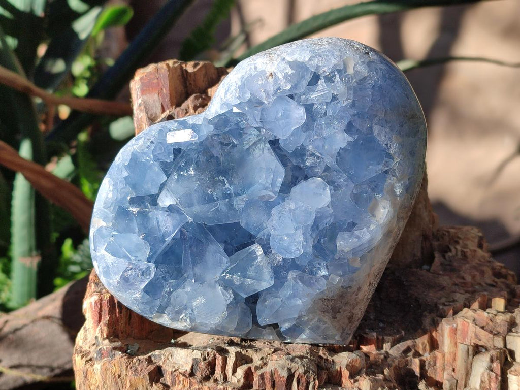 Polished and Natural Blue Celestite Hearts x 2 From Sakoany, Madagascar