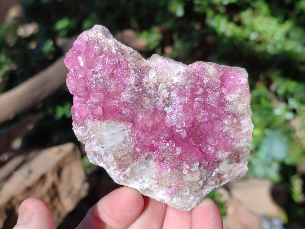 Natural Spherocobaltite Specimens x 6 From Musonoi Mine, Congo