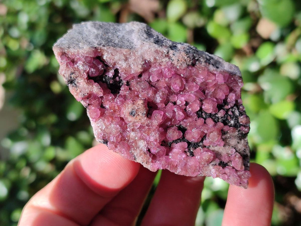 Natural Spherocobaltite Specimens x 6 From Musonoi Mine, Congo