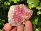 Natural Spherocobaltite Specimens x 6 From Musonoi Mine, Congo