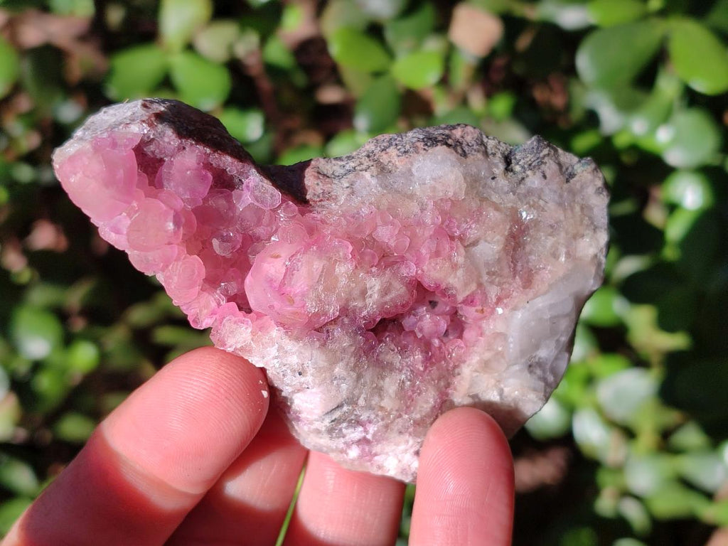 Natural Spherocobaltite Specimens x 6 From Musonoi Mine, Congo