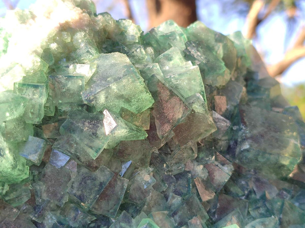 Natural XL Green Cubic Fluorite Specimen x 1 From Mandrosonoro, Madagascar