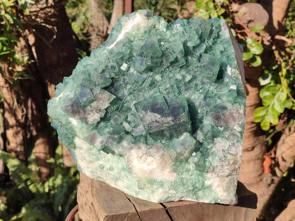 Natural XL Green Cubic Fluorite Specimen x 1 From Mandrosonoro, Madagascar