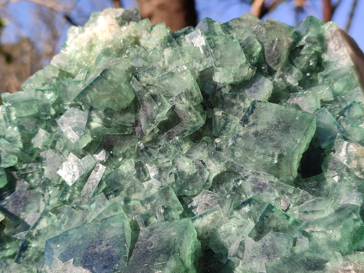Natural XL Green Cubic Fluorite Specimen x 1 From Mandrosonoro, Madagascar