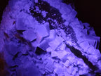 Natural XL Green Cubic Fluorite Specimen x 1 From Mandrosonoro, Madagascar