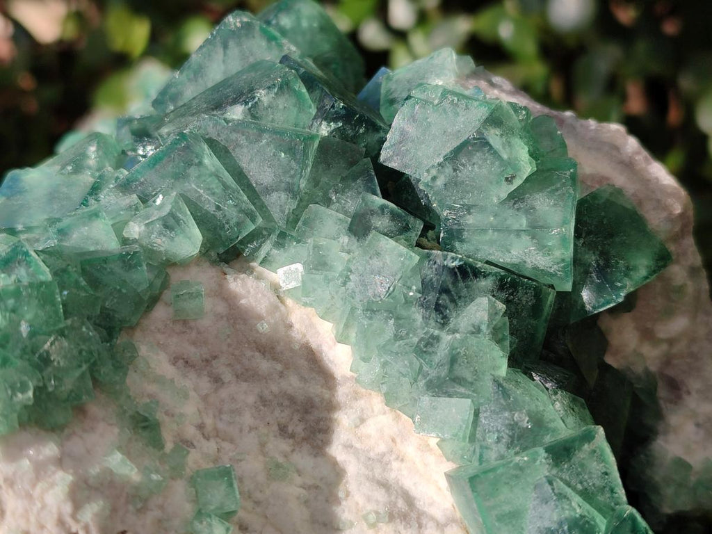 Natural XL Green Cubic Fluorite Specimen x 1 From Mandrosonoro, Madagascar