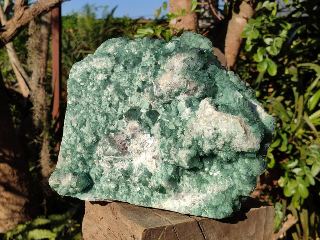 Natural XL Green Cubic Fluorite Specimen x 1 From Mandrosonoro, Madagascar
