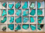 Natural Botryoidal Chrysocolla Specimens x 27 From Kulukuluku, Congo