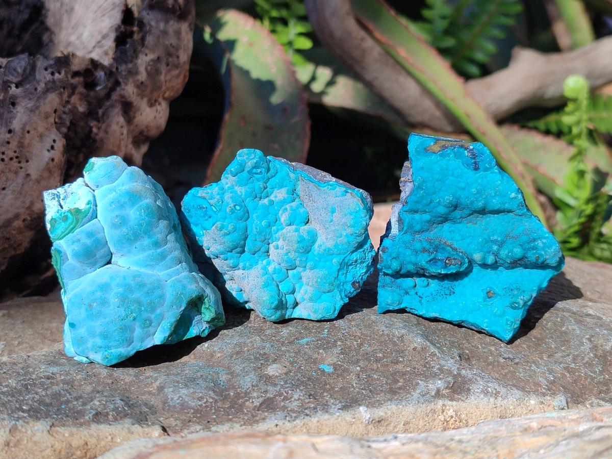 Natural Botryoidal Chrysocolla Specimens x 27 From Kulukuluku, Congo