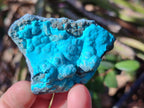Natural Botryoidal Chrysocolla Specimens x 27 From Kulukuluku, Congo
