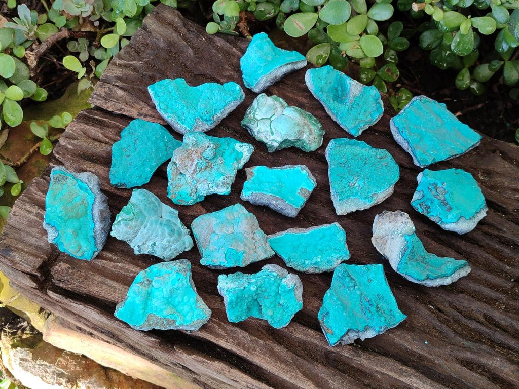 Natural Botryoidal Chrysocolla Specimens x 27 From Kulukuluku, Congo