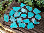 Natural Botryoidal Chrysocolla Specimens x 27 From Kulukuluku, Congo