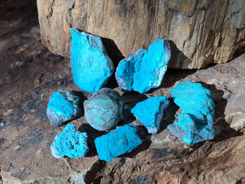 Natural Botryoidal Chrysocolla Specimens x 27 From Kulukuluku, Congo