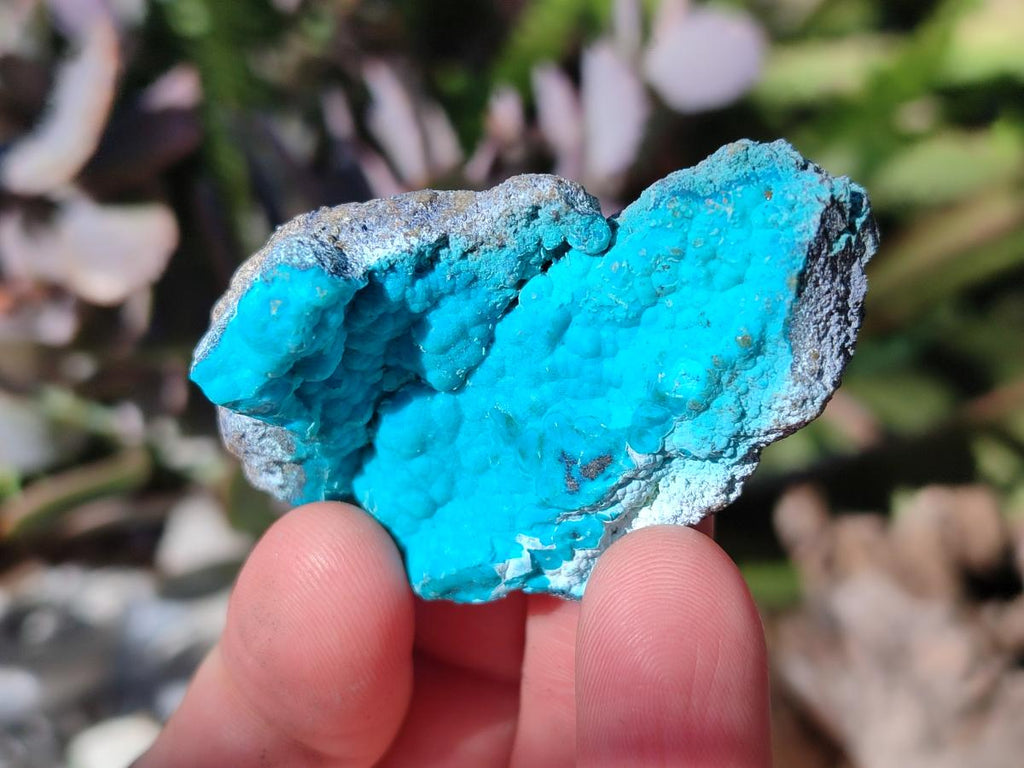 Natural Botryoidal Chrysocolla Specimens x 27 From Kulukuluku, Congo