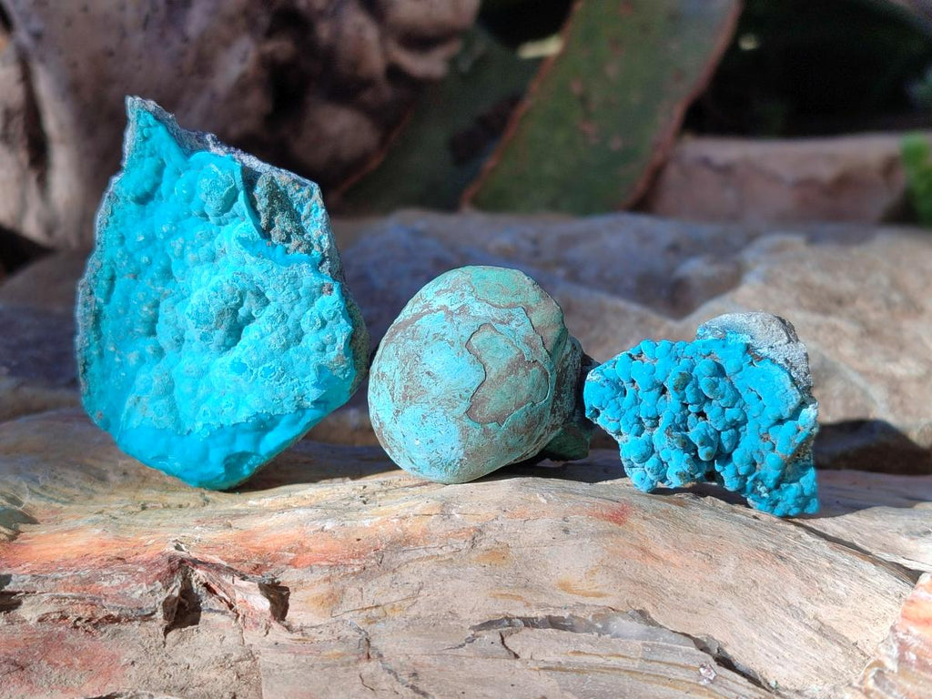 Natural Botryoidal Chrysocolla Specimens x 27 From Kulukuluku, Congo