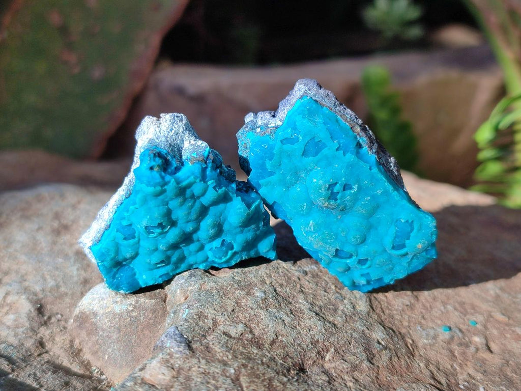 Natural Botryoidal Chrysocolla Specimens x 27 From Kulukuluku, Congo
