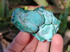 Natural Botryoidal Chrysocolla Specimens x 27 From Kulukuluku, Congo