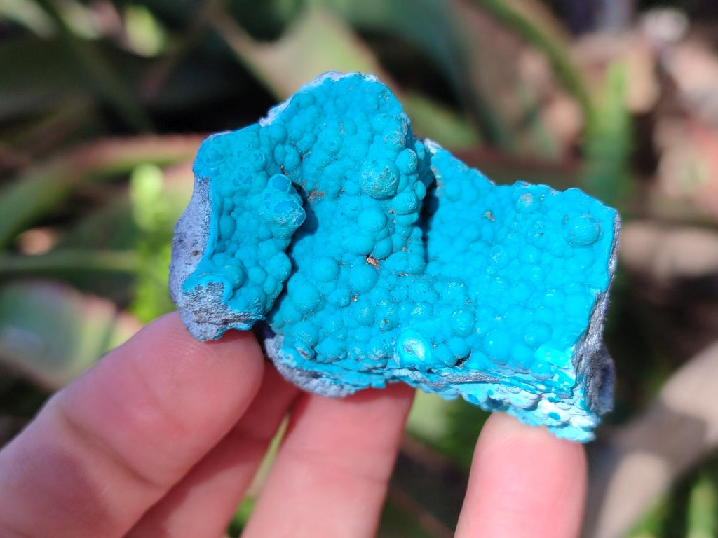 Natural Botryoidal Chrysocolla Specimens x 27 From Kulukuluku, Congo