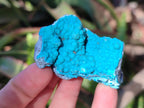 Natural Botryoidal Chrysocolla Specimens x 27 From Kulukuluku, Congo