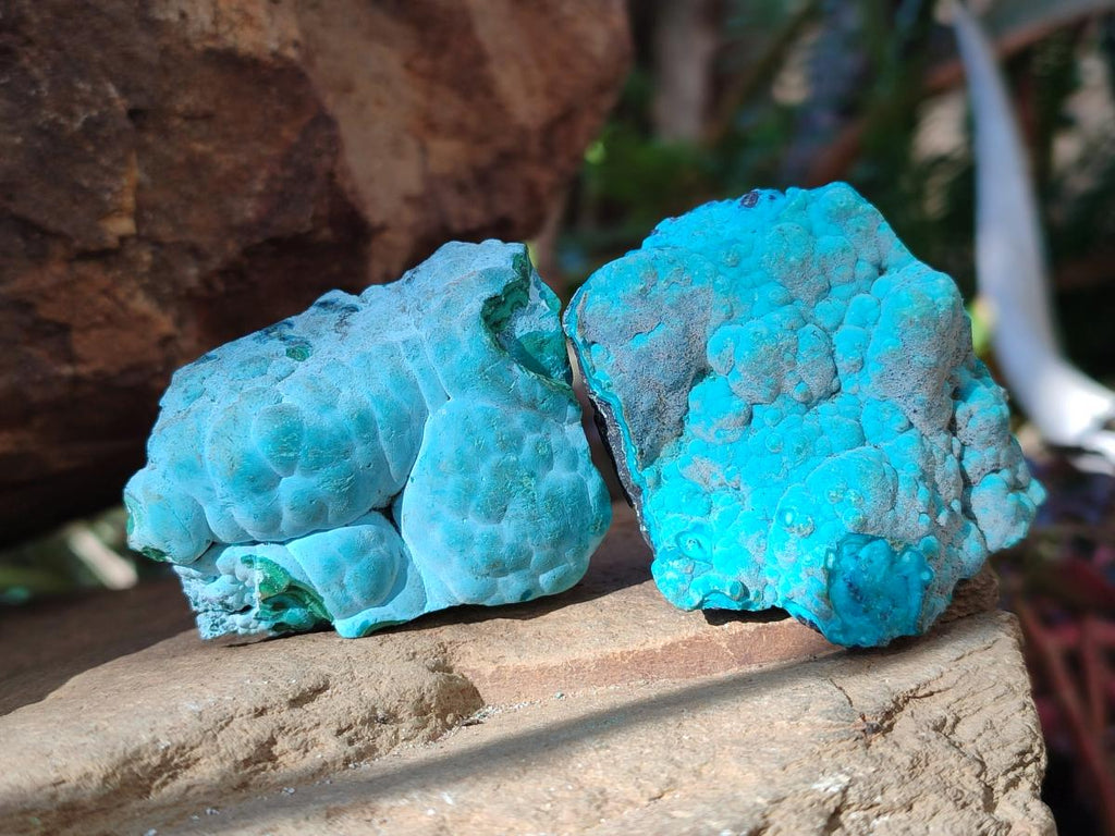 Natural Botryoidal Chrysocolla Specimens x 27 From Kulukuluku, Congo