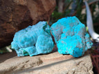 Natural Botryoidal Chrysocolla Specimens x 27 From Kulukuluku, Congo