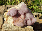Natural Large Spirit Amethyst Cluster with Cactus Flower Formations x 1 From Boekenhouthoek, South Africa