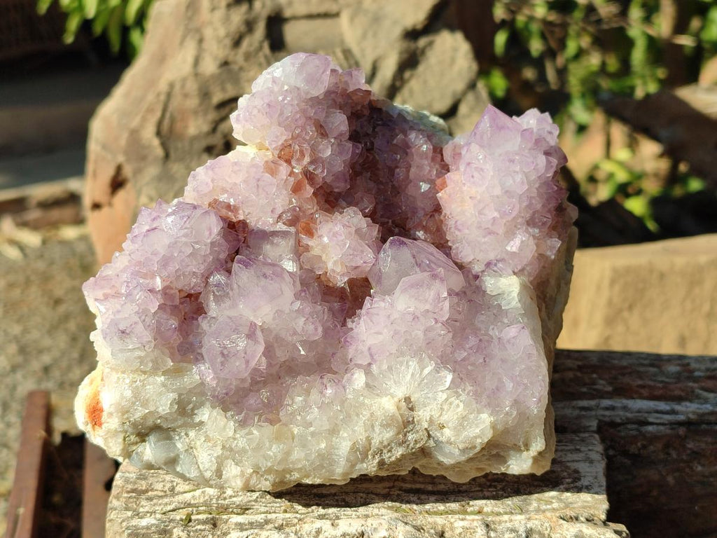 Natural Large Spirit Amethyst Cluster with Cactus Flower Formations x 1 From Boekenhouthoek, South Africa