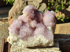 Natural Large Spirit Amethyst Cluster with Cactus Flower Formations x 1 From Boekenhouthoek, South Africa