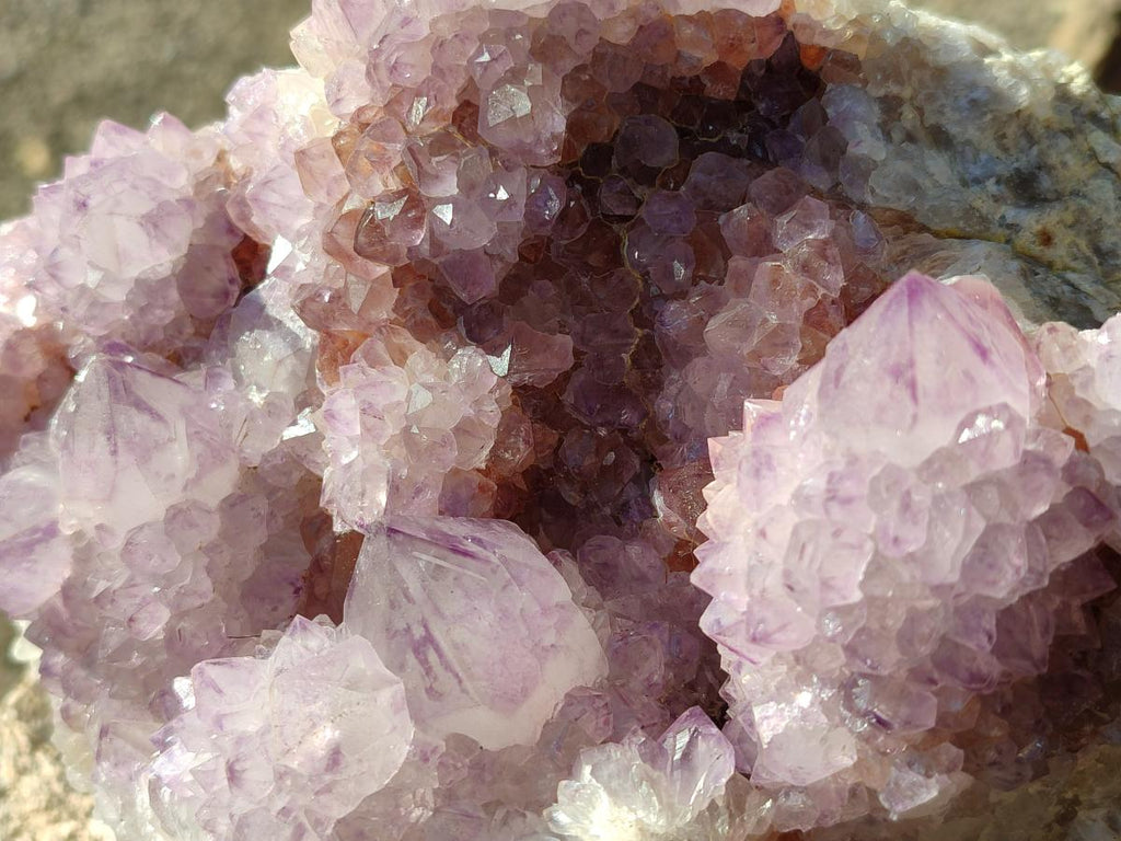 Natural Large Spirit Amethyst Cluster with Cactus Flower Formations x 1 From Boekenhouthoek, South Africa