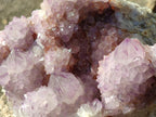 Natural Large Spirit Amethyst Cluster with Cactus Flower Formations x 1 From Boekenhouthoek, South Africa