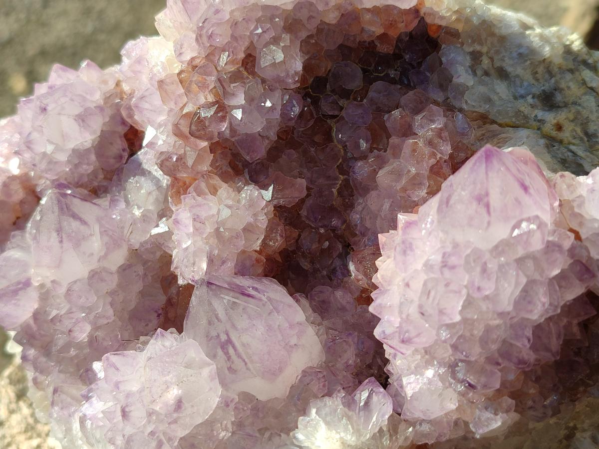 Natural Large Spirit Amethyst Cluster with Cactus Flower Formations x 1 From Boekenhouthoek, South Africa