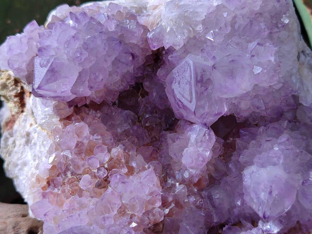 Natural Large Spirit Amethyst Cluster with Cactus Flower Formations x 1 From Boekenhouthoek, South Africa