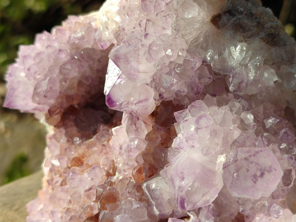 Natural Large Spirit Amethyst Cluster with Cactus Flower Formations x 1 From Boekenhouthoek, South Africa