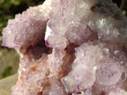 Natural Large Spirit Amethyst Cluster with Cactus Flower Formations x 1 From Boekenhouthoek, South Africa