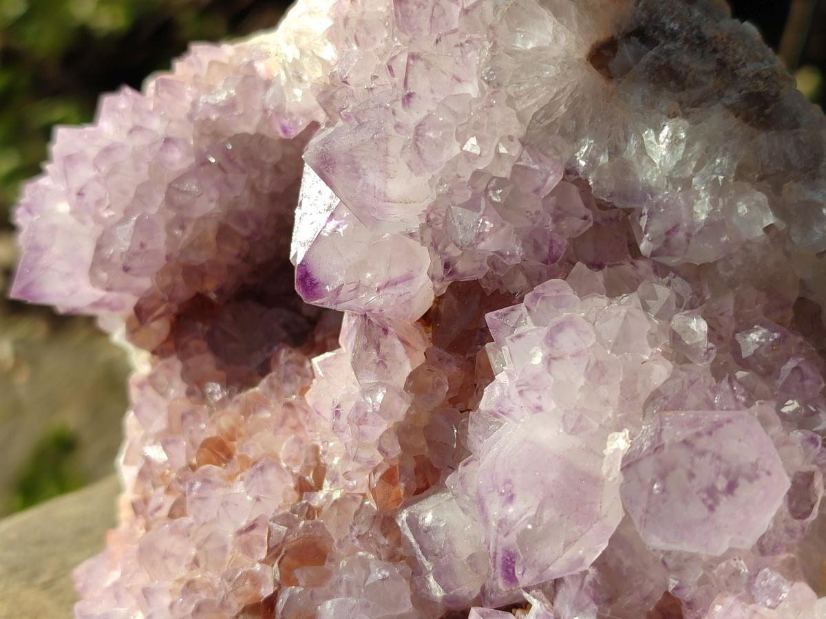 Natural Large Spirit Amethyst Cluster with Cactus Flower Formations x 1 From Boekenhouthoek, South Africa