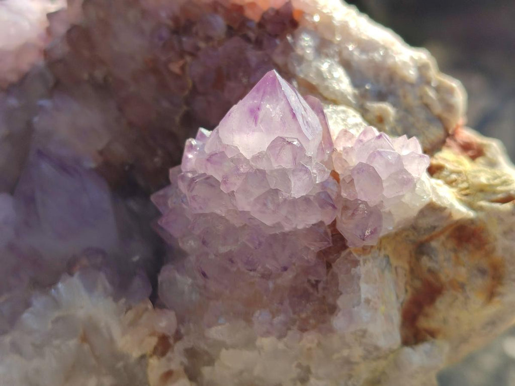 Natural Large Spirit Amethyst Cluster with Cactus Flower Formations x 1 From Boekenhouthoek, South Africa