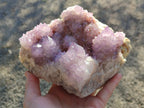 Natural Large Spirit Amethyst Cluster with Cactus Flower Formations x 1 From Boekenhouthoek, South Africa