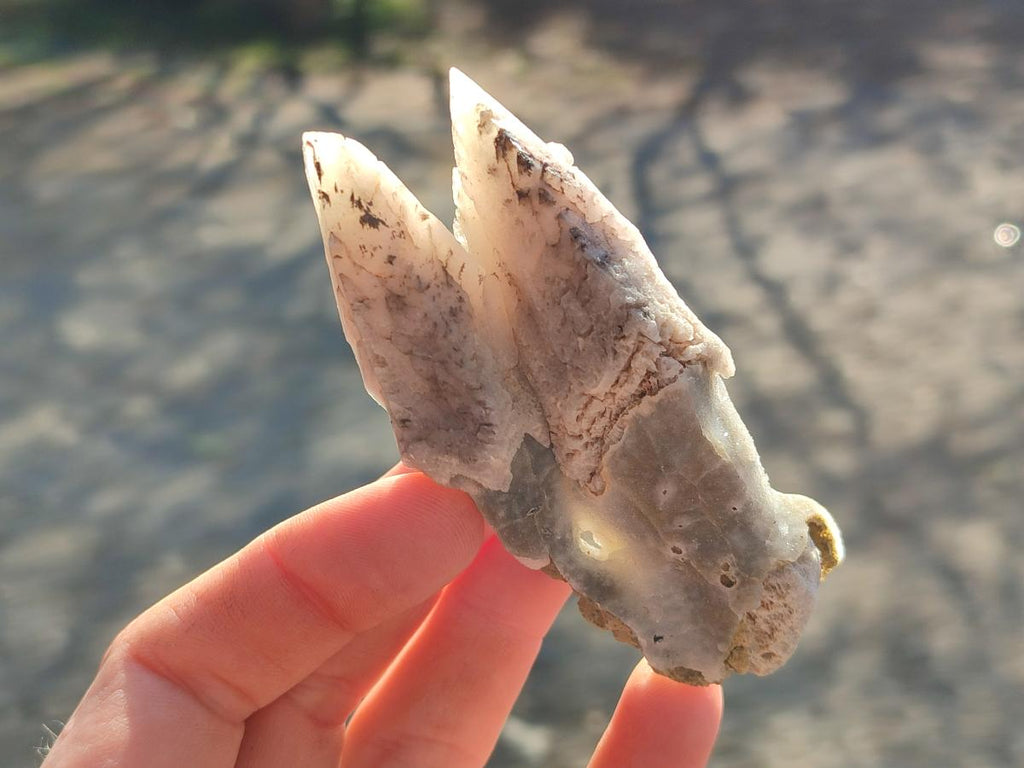 Natural Drusy Quartz Coated Spearhead Calcite Crystals x 12 From Albert's Mountain, Lesotho