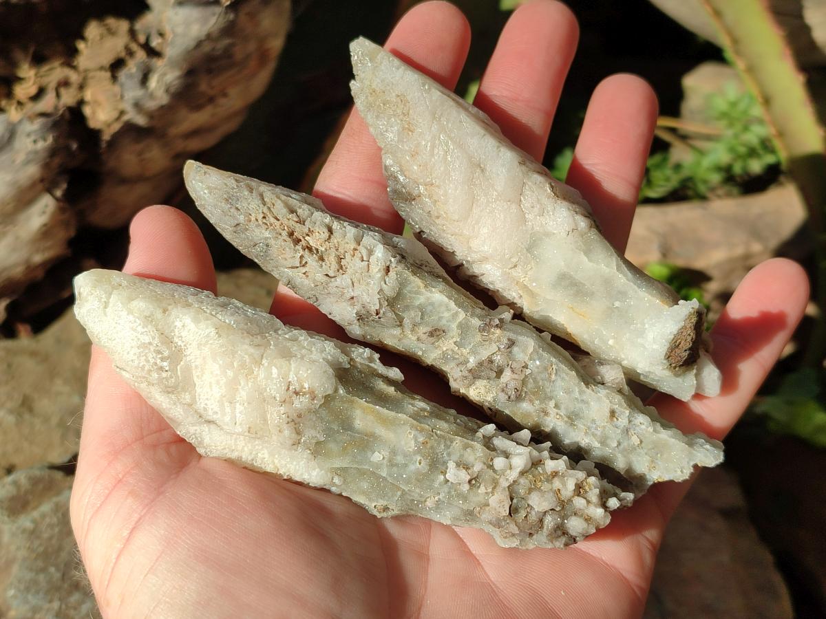 Natural Drusy Quartz Coated Spearhead Calcite Crystals x 12 From Albert's Mountain, Lesotho