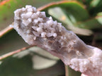 Natural Drusy Quartz Coated Spearhead Calcite Crystals x 12 From Albert's Mountain, Lesotho
