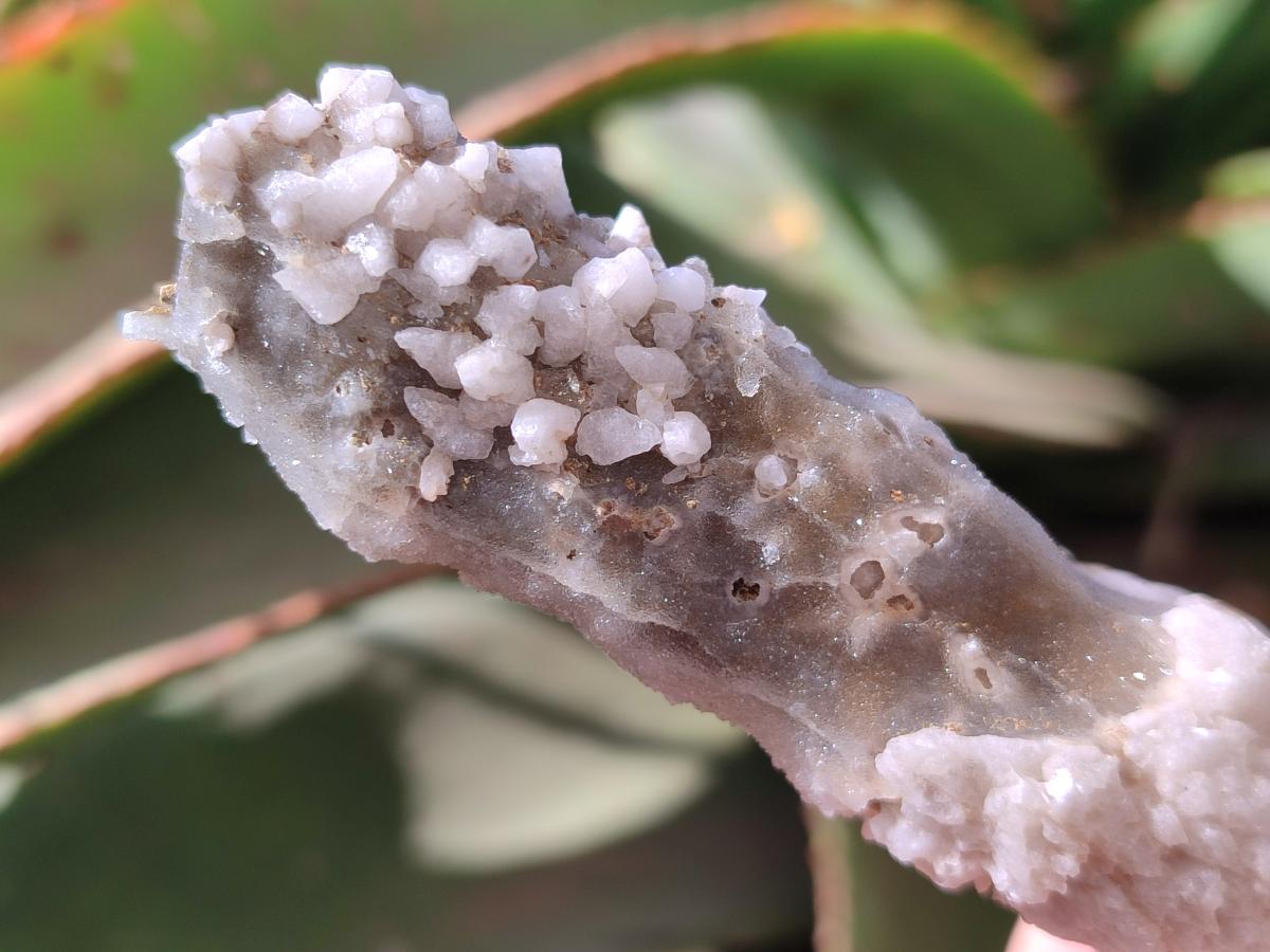 Natural Drusy Quartz Coated Spearhead Calcite Crystals x 12 From Albert's Mountain, Lesotho