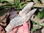 Natural Drusy Quartz Coated Spearhead Calcite Crystals x 12 From Albert's Mountain, Lesotho