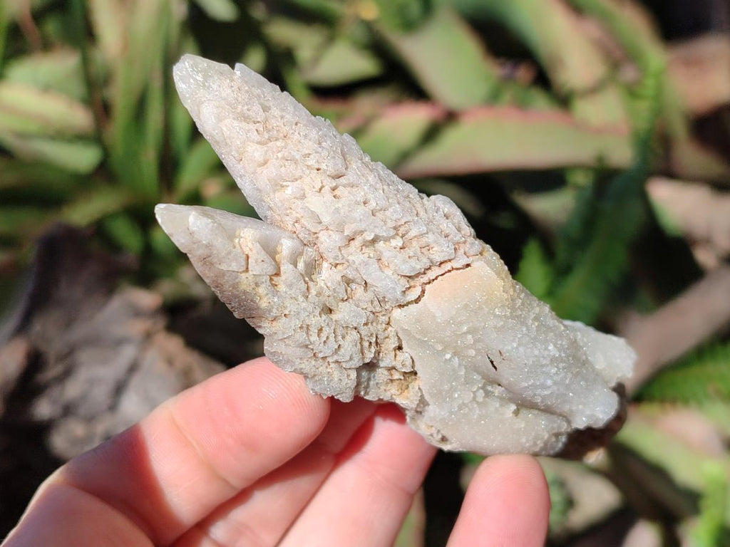 Natural Drusy Quartz Coated Spearhead Calcite Crystals x 12 From Albert's Mountain, Lesotho