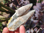 Natural Drusy Quartz Coated Spearhead Calcite Crystals x 12 From Albert's Mountain, Lesotho