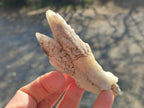 Natural Drusy Quartz Coated Spearhead Calcite Crystals x 12 From Albert's Mountain, Lesotho