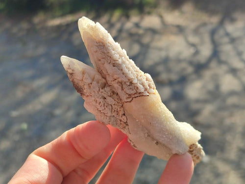 Natural Drusy Quartz Coated Spearhead Calcite Crystals x 12 From Albert's Mountain, Lesotho