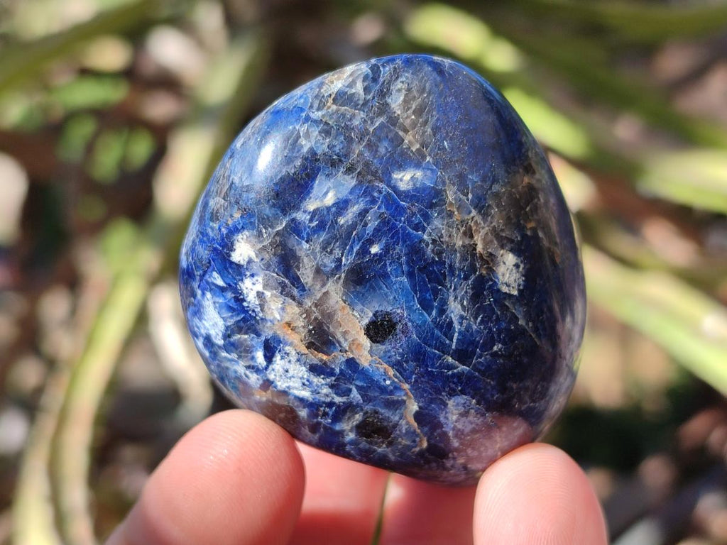 Polished Dumortierite Standing Display Pieces x 12 From Madagascar