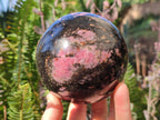 Polished Large Rhodonite Gemstone Sphere x 1 From Ambindavato, Madagascar - Toprock Gemstones and Minerals 
